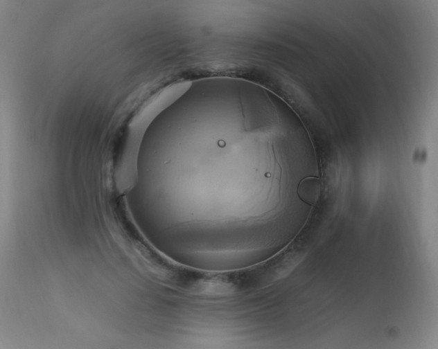 X0000112970644200908271143