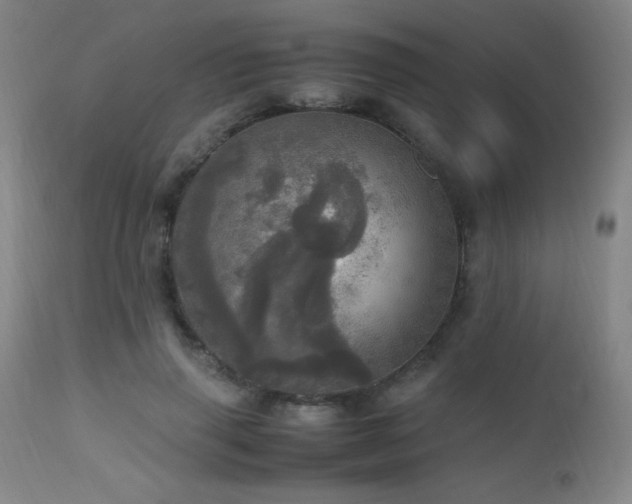 X0000112970645200908271143