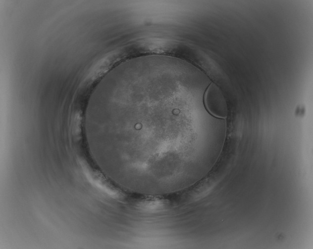 X0000112970646200908271143