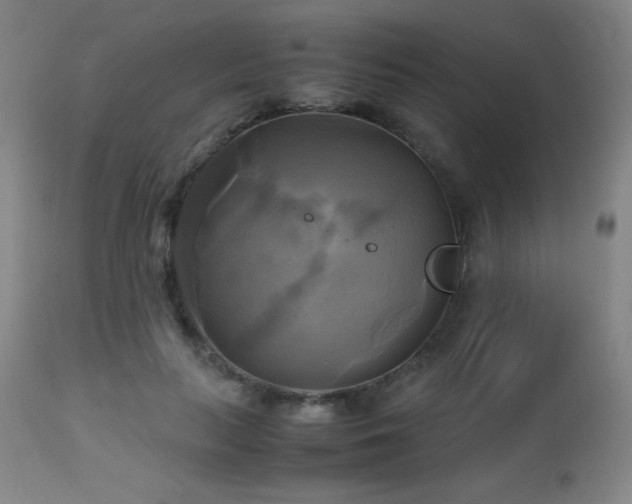 X0000112970647200908271143