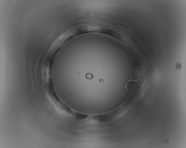 X0000112970648200908271143