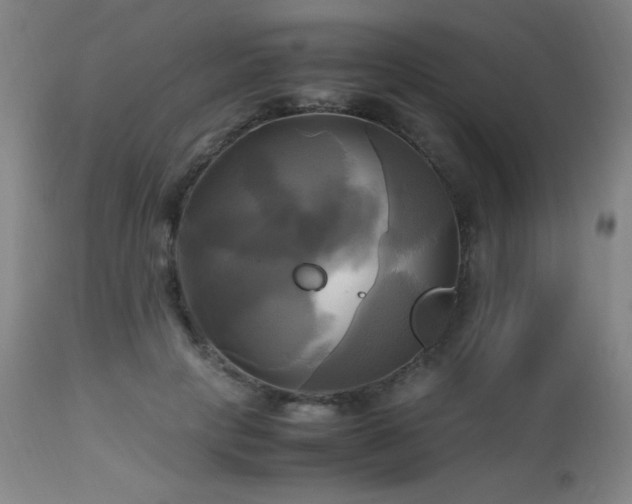 X0000112970649200908271143