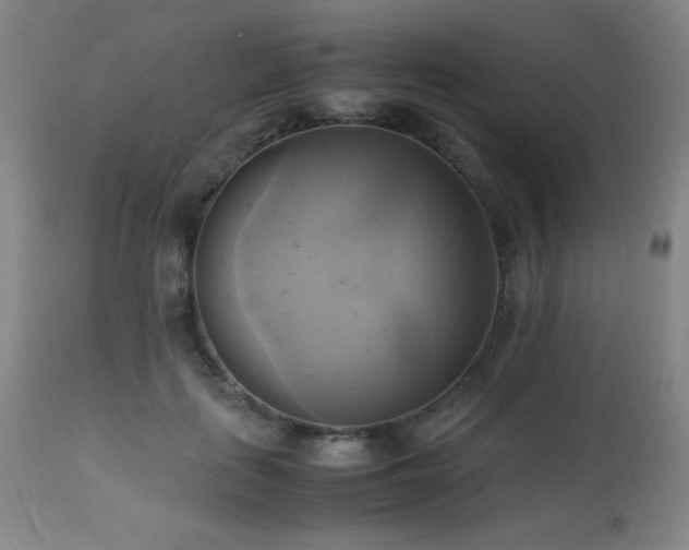 X0000112970651200908271143