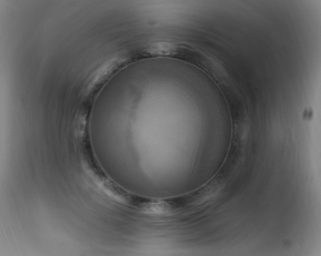 X0000112970652200908271143