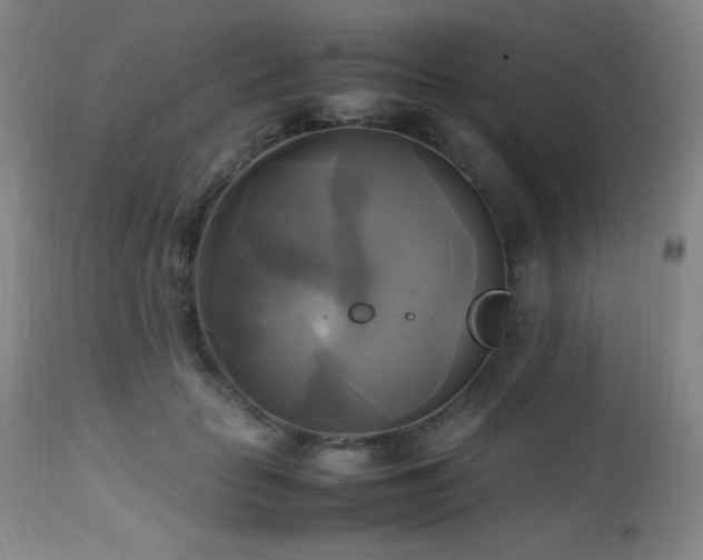 X0000112970653200908271143