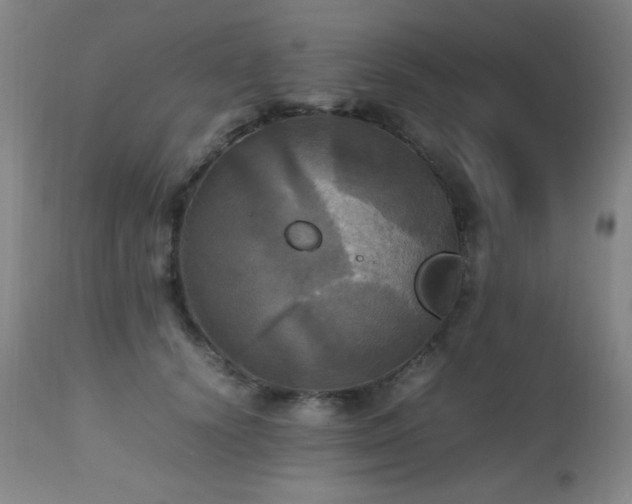 X0000112970656200908271143