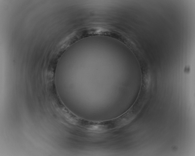 X0000112970657200908271143