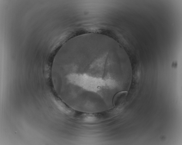 X0000112970658200908271143