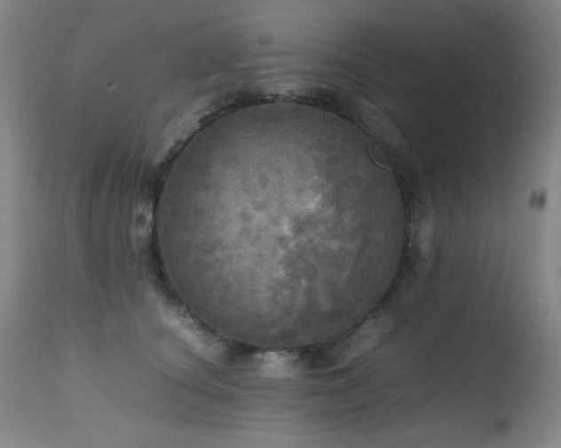 X0000112970660200908271143