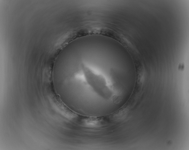 X0000112970661200908271143