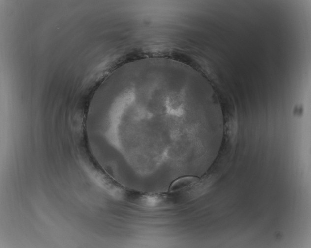 X0000112970662200908271143