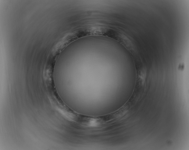 X0000112970663200908271143