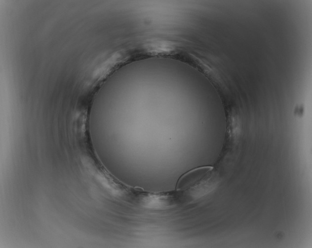 X0000112970664200908271143