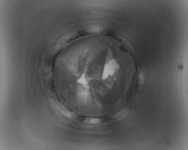 X0000112970665200908271143