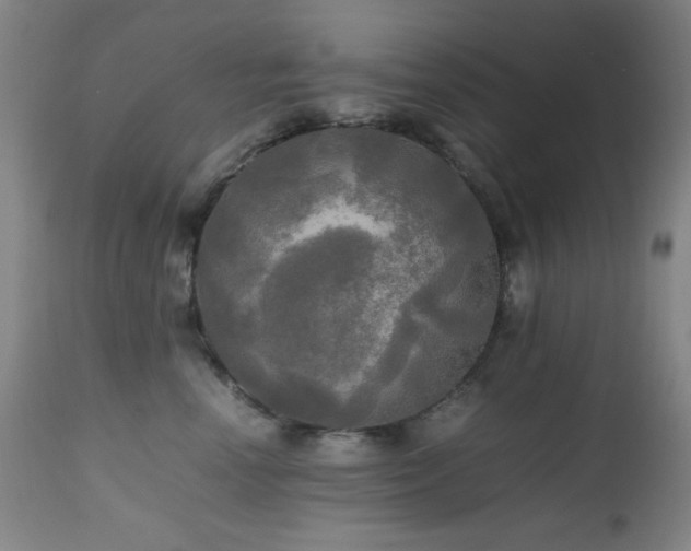 X0000112970666200908271143