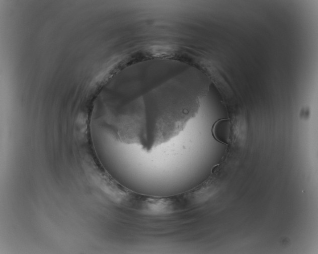 X0000112970667200908271143