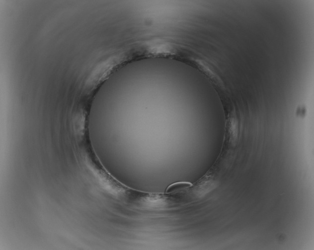 X0000112970668200908271143