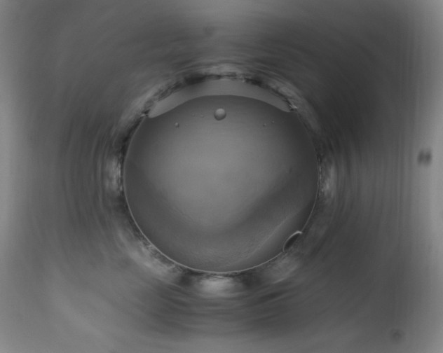 X0000112970669200908271143