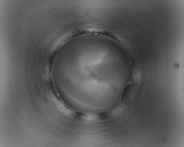 X0000112970670200908271143