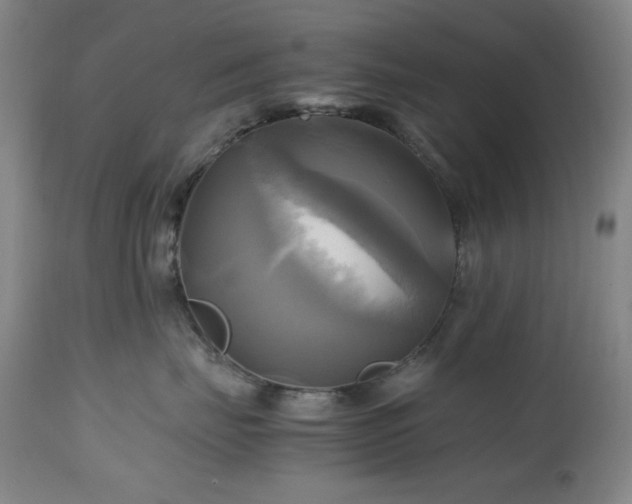 X0000112970671200908271143