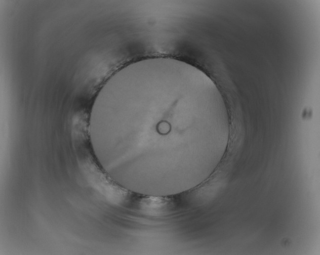 X0000112970672200908271143