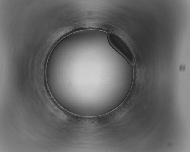 X0000112970673200908271143