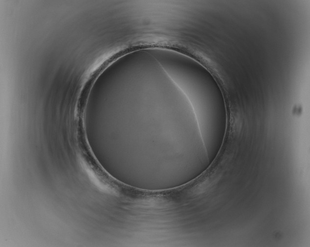 X0000112970674200908271143