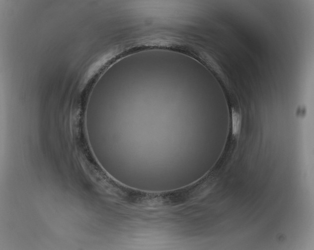 X0000112970675200908271143