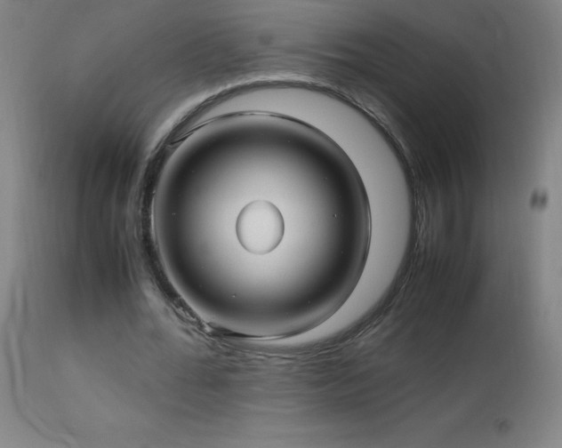 X0000112970676200908271143