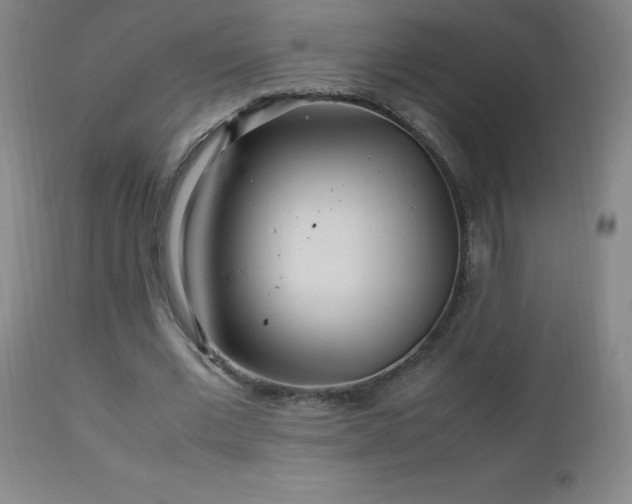 X0000112970677200908271143