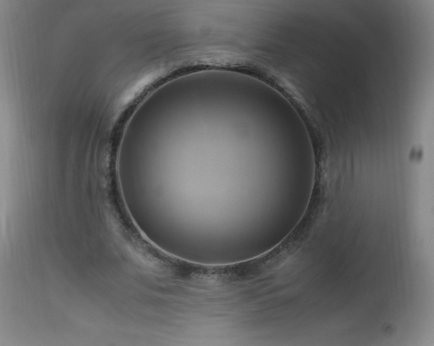 X0000112970679200908271143