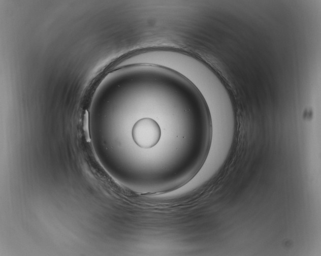 X0000112970680200908271143