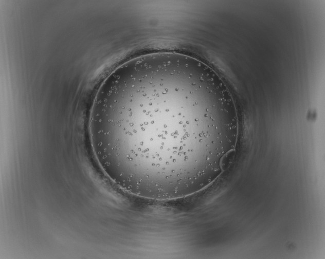 X0000112970681200908271143