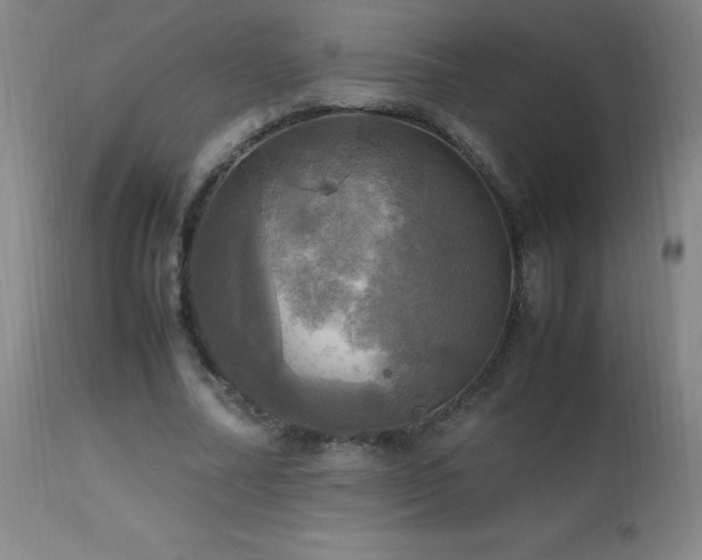 X0000112970682200908271143