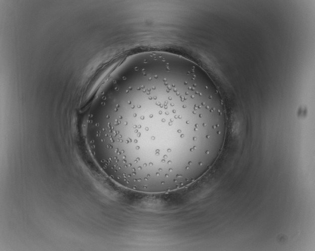 X0000112970685200908271143