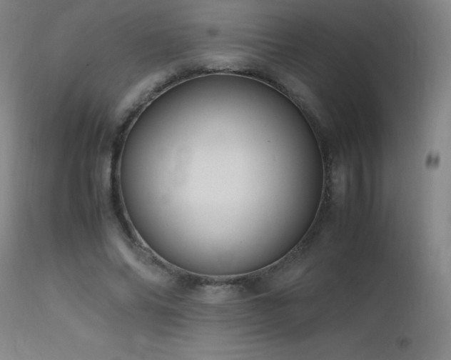 X0000112970686200908271143