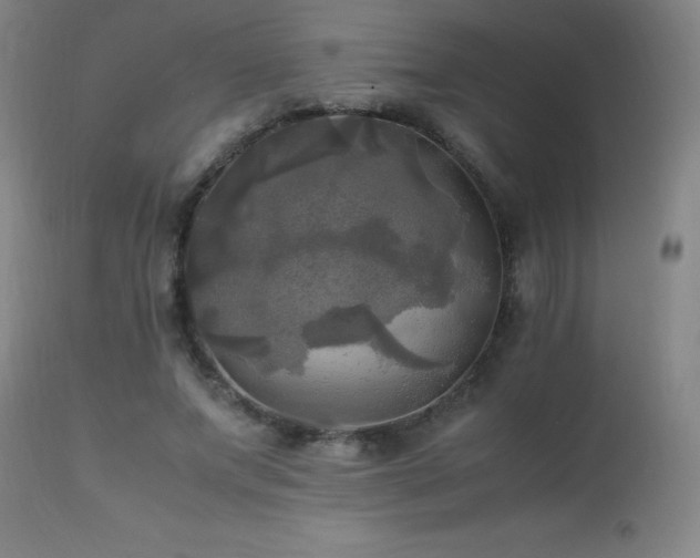 X0000112970687200908271143