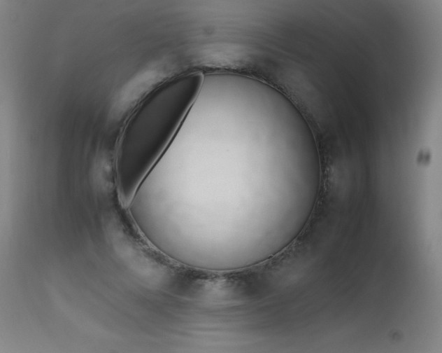 X0000112970688200908271143