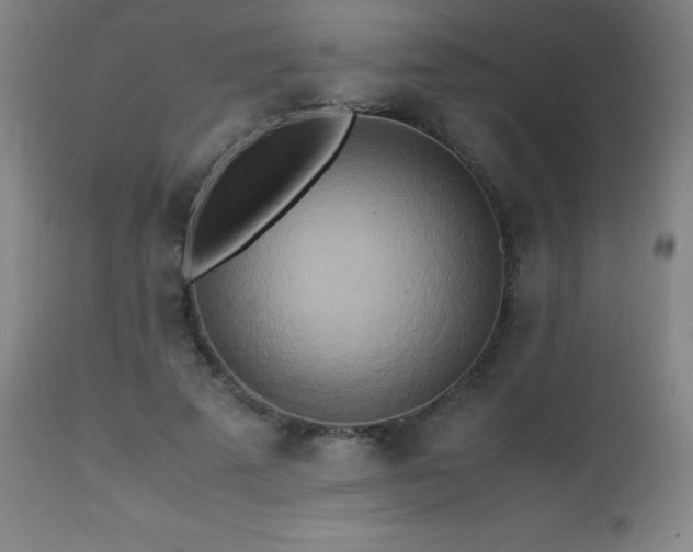 X0000112970689200908271143