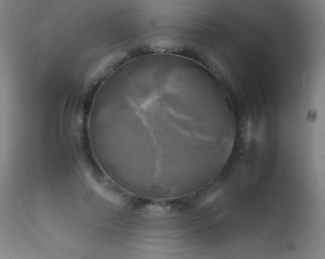 X0000112970690200908271142