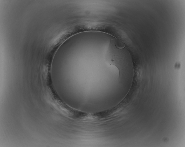 X0000112970691200908271142