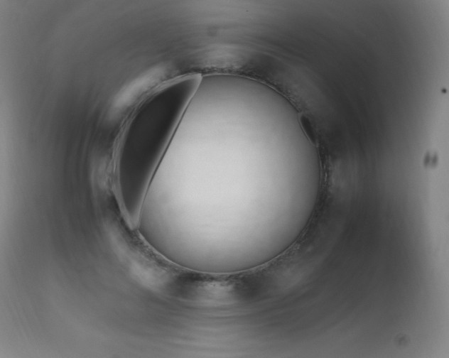 X0000112970692200908271142