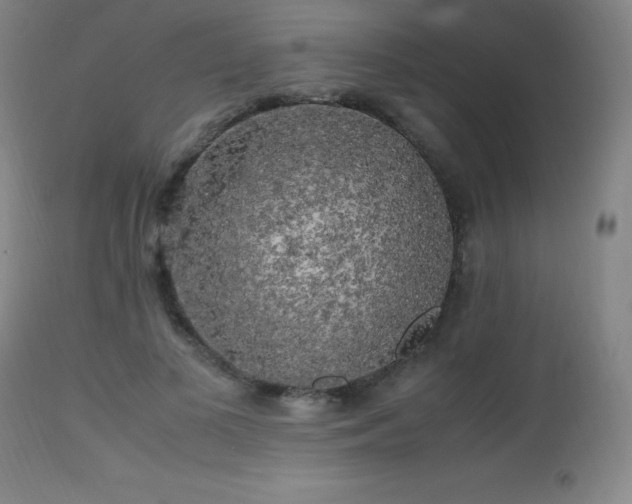 X0000112970693200908271142