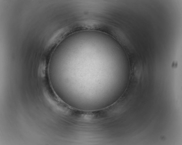 X0000112970694200908271142