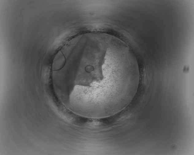 X0000112970695200908271142