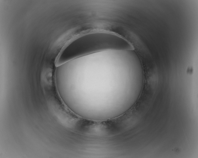 X0000112970696200908271142