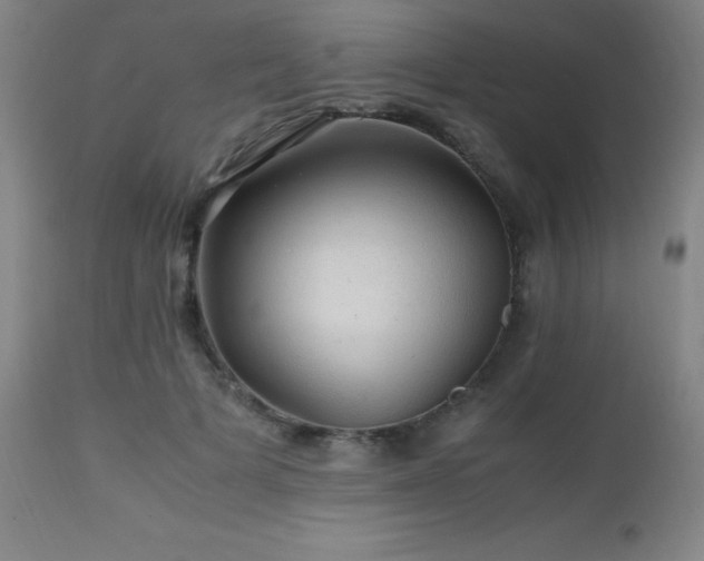 X0000112970697200908271142