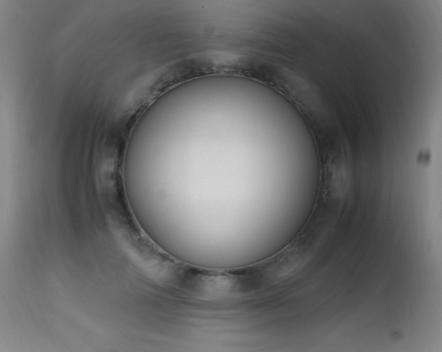 X0000112970698200908271142