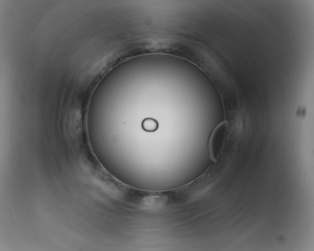 X0000112970700200908271142