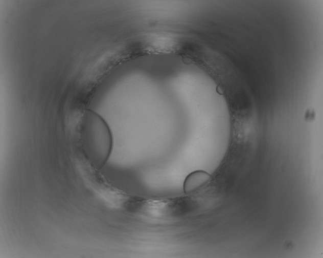 X0000112970701200908271142